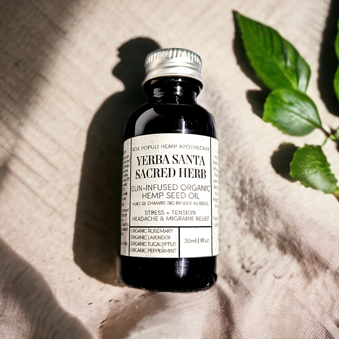 Yerba Santa Sacred Herb Headache and Migraine Relief Oil